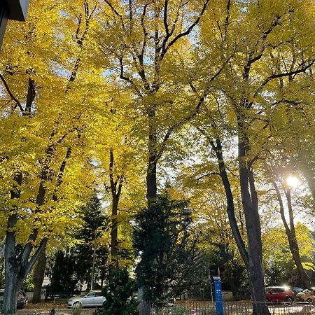 Aparthotel Stadtpark 吕贝克 外观 照片