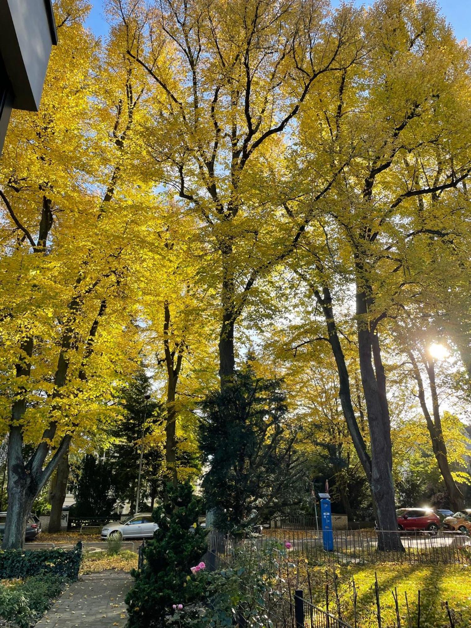 Aparthotel Stadtpark 吕贝克 外观 照片